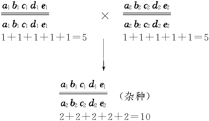 二、超显性假说